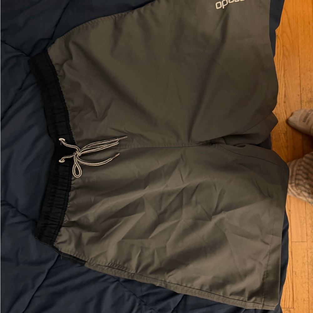 Speedo Charcoal Swim Trunks